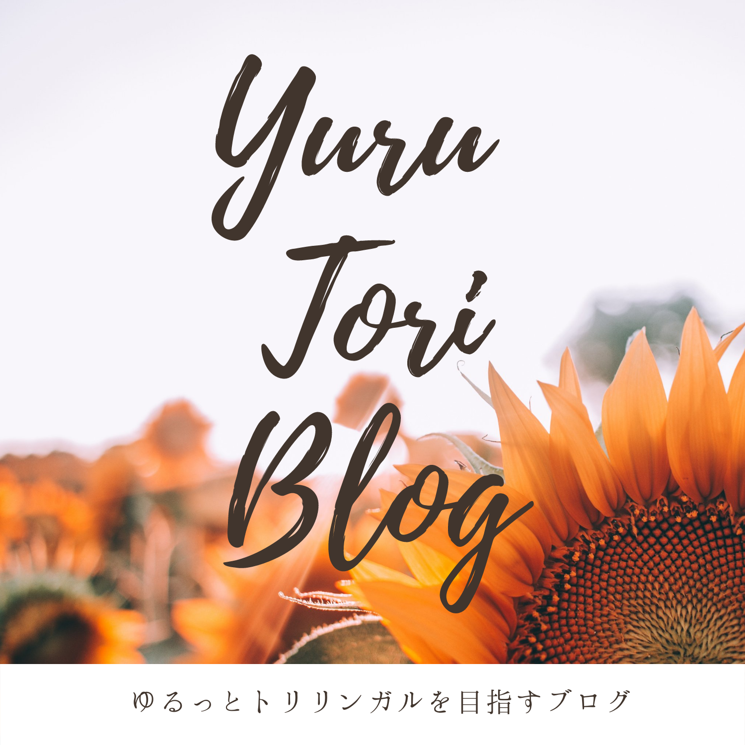 Yuru Tori Blog